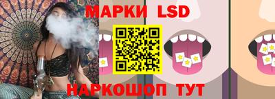 сатива Моздок