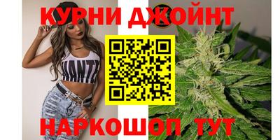 сатива Моздок