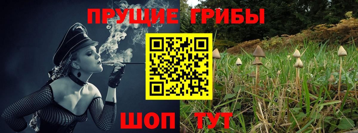 Псилоцибиновые грибы мицелий Чита