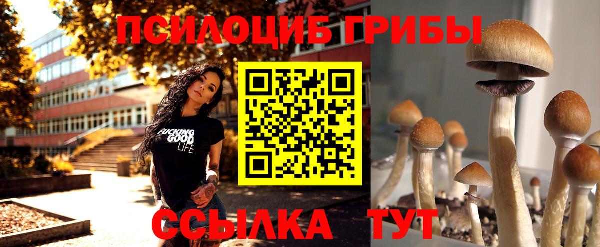 Галлюциногенные грибы мицелий  Псилоцибиновые грибы MAGIC MUSHROOMS  Чита  Вход с VPN 