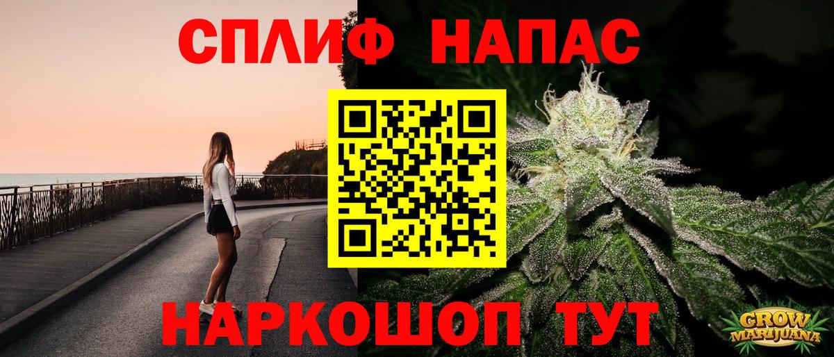 Бошки Шишки семена Чита